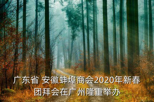 廣東省 安徽蚌埠商會(huì)2020年新春團(tuán)拜會(huì)在廣州隆重舉辦