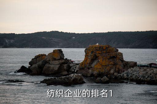  紡織企業(yè)的排名1