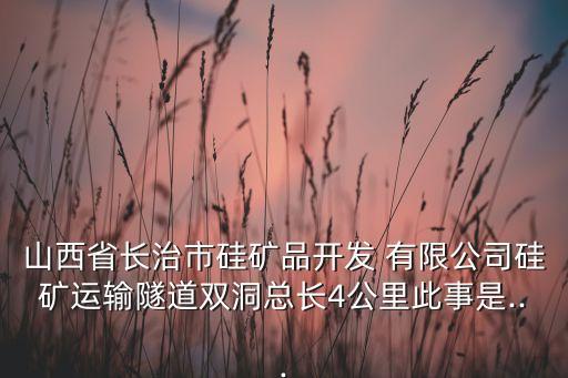 山西省長治市硅礦品開發(fā) 有限公司硅礦運(yùn)輸隧道雙洞總長4公里此事是...