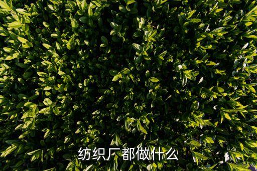 紡織廠都做什么