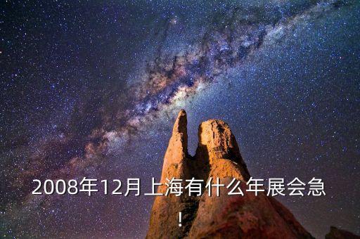 2008年12月上海有什么年展會急!