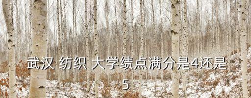 武漢紡織大學學位