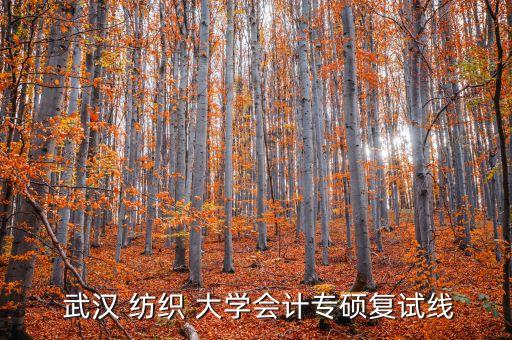  武漢 紡織 大學(xué)會計(jì)專碩復(fù)試線