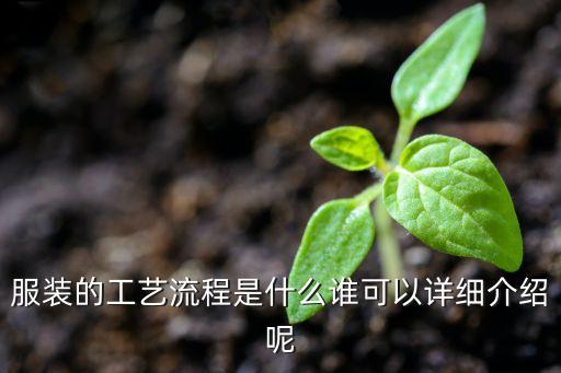 服裝的工藝流程是什么誰可以詳細(xì)介紹呢
