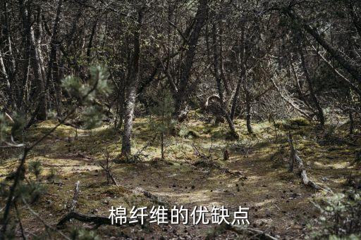 棉纖維的優(yōu)缺點(diǎn)