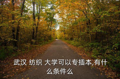 武漢紡織大學(xué)2016考題