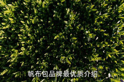  帆布包品牌最優(yōu)質(zhì)介紹