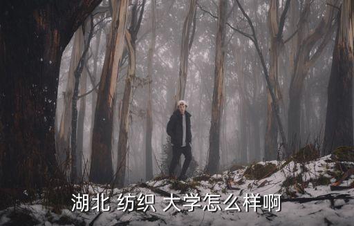 武漢紡織大學(xué) 女 朱