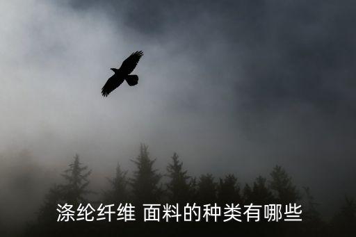  滌綸纖維 面料的種類有哪些