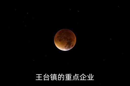 王臺鎮(zhèn)的重點企業(yè)