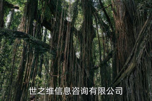 上海世之維信息咨詢有限公司