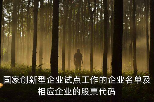 國家創(chuàng)新型企業(yè)試點工作的企業(yè)名單及相應企業(yè)的股票代碼