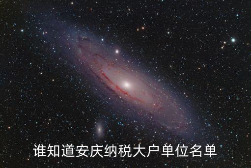 誰知道安慶納稅大戶單位名單