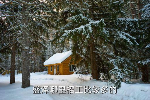 盛澤劍桿紡織廠,蘇州盛澤紡織廠招聘信息