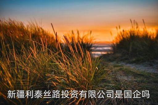 新疆利泰絲路投資有限公司是國企嗎