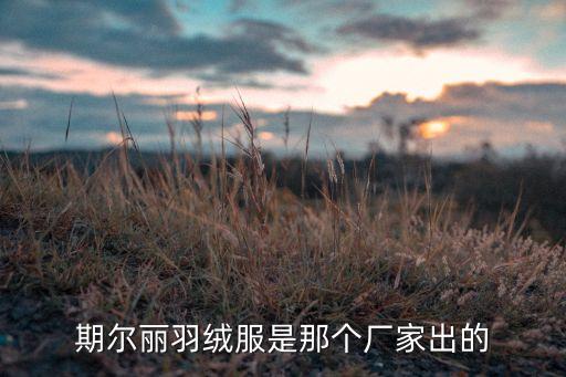 期爾麗羽絨服是那個廠家出的