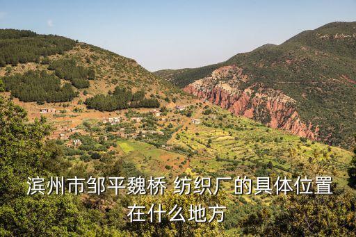  濱州市鄒平魏橋 紡織廠的具體位置在什么地方