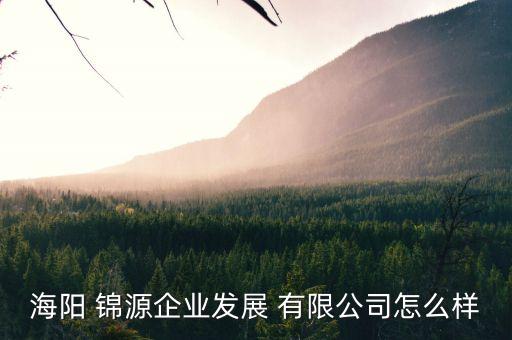 海陽 錦源企業(yè)發(fā)展 有限公司怎么樣