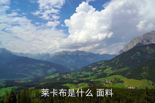 萊卡布是什么 面料