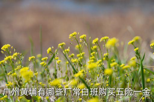 廣州黃埔有哪些廠常白班購買五險一金