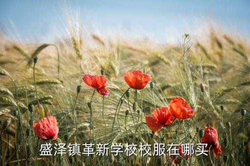 盛澤鎮(zhèn)革新學(xué)校校服在哪買(mǎi)