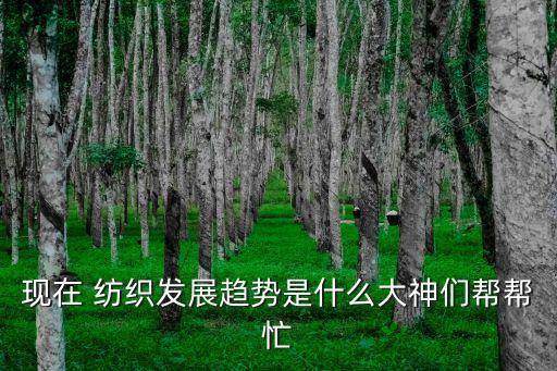 現(xiàn)在 紡織發(fā)展趨勢是什么大神們幫幫忙