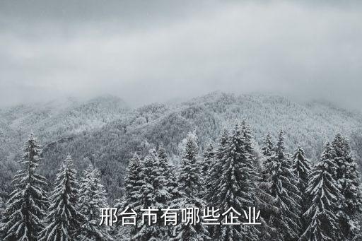 邢臺(tái)市有哪些企業(yè)