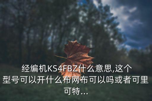  經(jīng)編機(jī)KS4FBZ什么意思,這個(gè)型號(hào)可以開(kāi)什么布網(wǎng)布可以嗎或者可里可特...