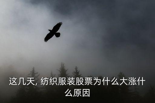 這幾天, 紡織服裝股票為什么大漲什么原因