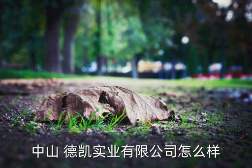 中山 德凱實業(yè)有限公司怎么樣