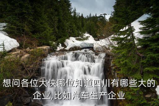 想問各位大俠哪位知道四川有哪些大的企業(yè),比如汽車生產(chǎn)企業(yè)