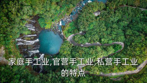 家庭手工業(yè),官營手工業(yè),私營手工業(yè)的特點