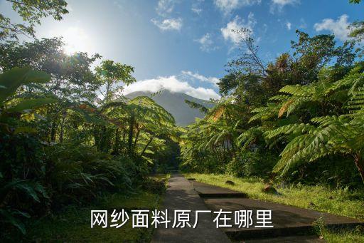 網(wǎng)紗面料原廠在哪里