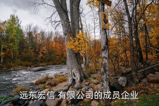 遠(yuǎn)東宏信 有限公司的成員企業(yè)