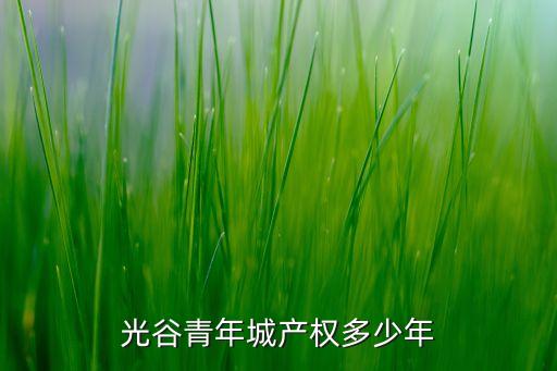 光谷青年城產(chǎn)權(quán)多少年