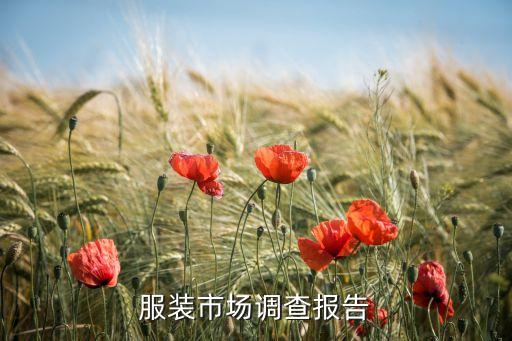 服裝市場(chǎng)調(diào)查報(bào)告