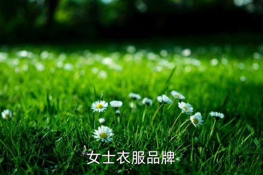 女士衣服品牌