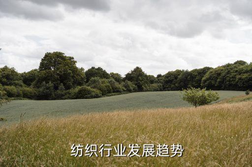  紡織行業(yè)發(fā)展趨勢