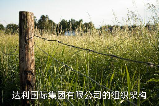 達(dá)利國際集團有限公司的組織架構(gòu)