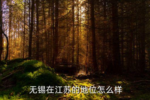  無錫在江蘇的地位怎么樣