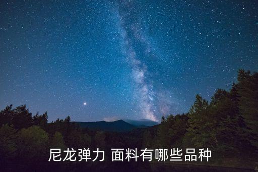 全尼龍塔絲隆三分格面料價(jià)格