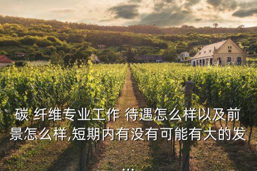碳 纖維專業(yè)工作 待遇怎么樣以及前景怎么樣,短期內(nèi)有沒有可能有大的發(fā)...
