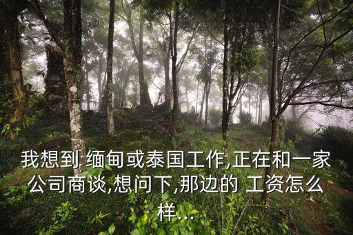我想到 緬甸或泰國工作,正在和一家公司商談,想問下,那邊的 工資怎么樣...