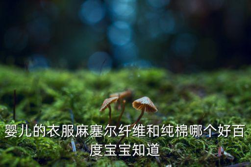 嬰兒的衣服麻塞爾纖維和純棉哪個(gè)好百度寶寶知道