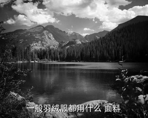 一般羽絨服都用什么 面料