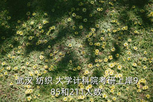  武漢 紡織 大學(xué)計(jì)科院考研上岸985和211人數(shù)