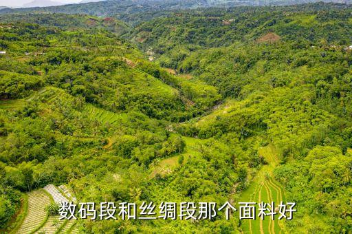  數(shù)碼段和絲綢段那個(gè)面料好