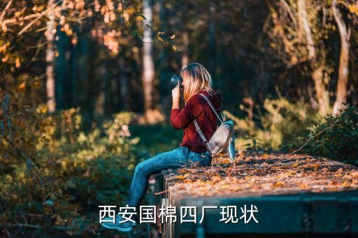 西安國棉四廠現(xiàn)狀