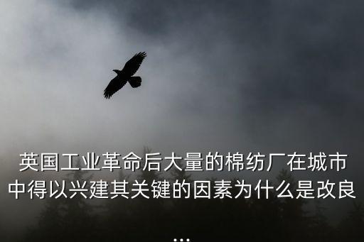  英國工業(yè)革命后大量的棉紡廠在城市中得以興建其關鍵的因素為什么是改良...