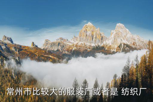常州市比較大的服裝廠或者是 紡織廠
